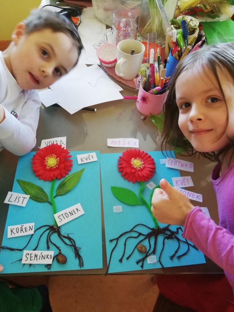 Aktivity druháčků v rámci domácího učení - 15