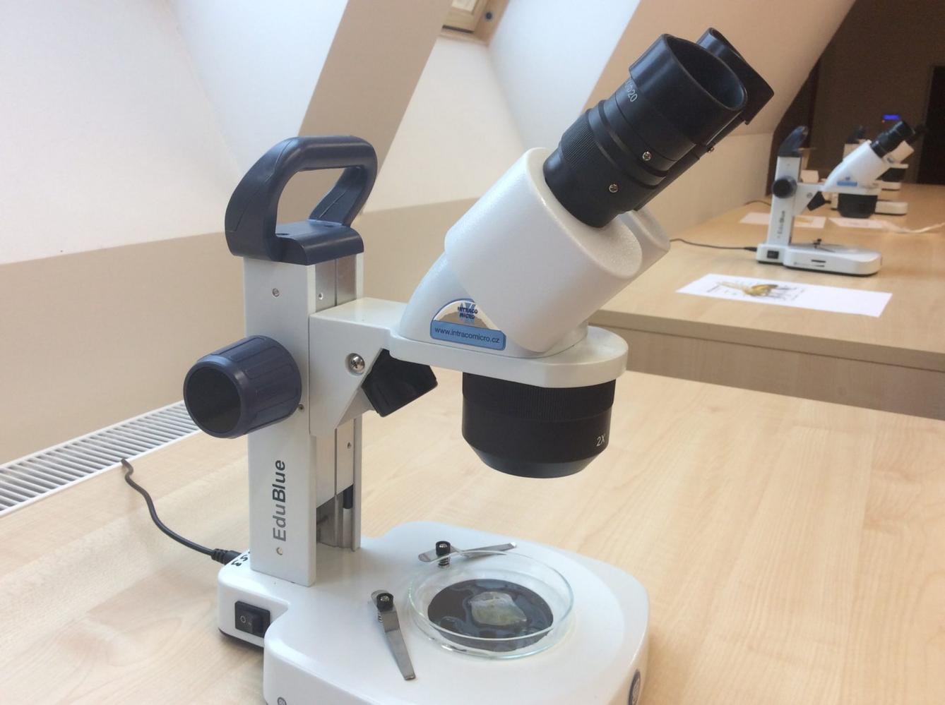 Svět krystalů - 9. třída - 10