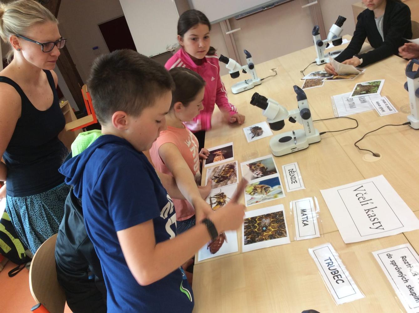 Svět včel - žáci 6. třídy - 1