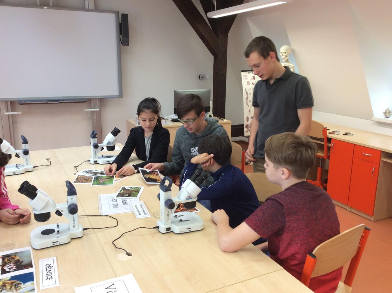 Svět včel - žáci 6. třídy - 2