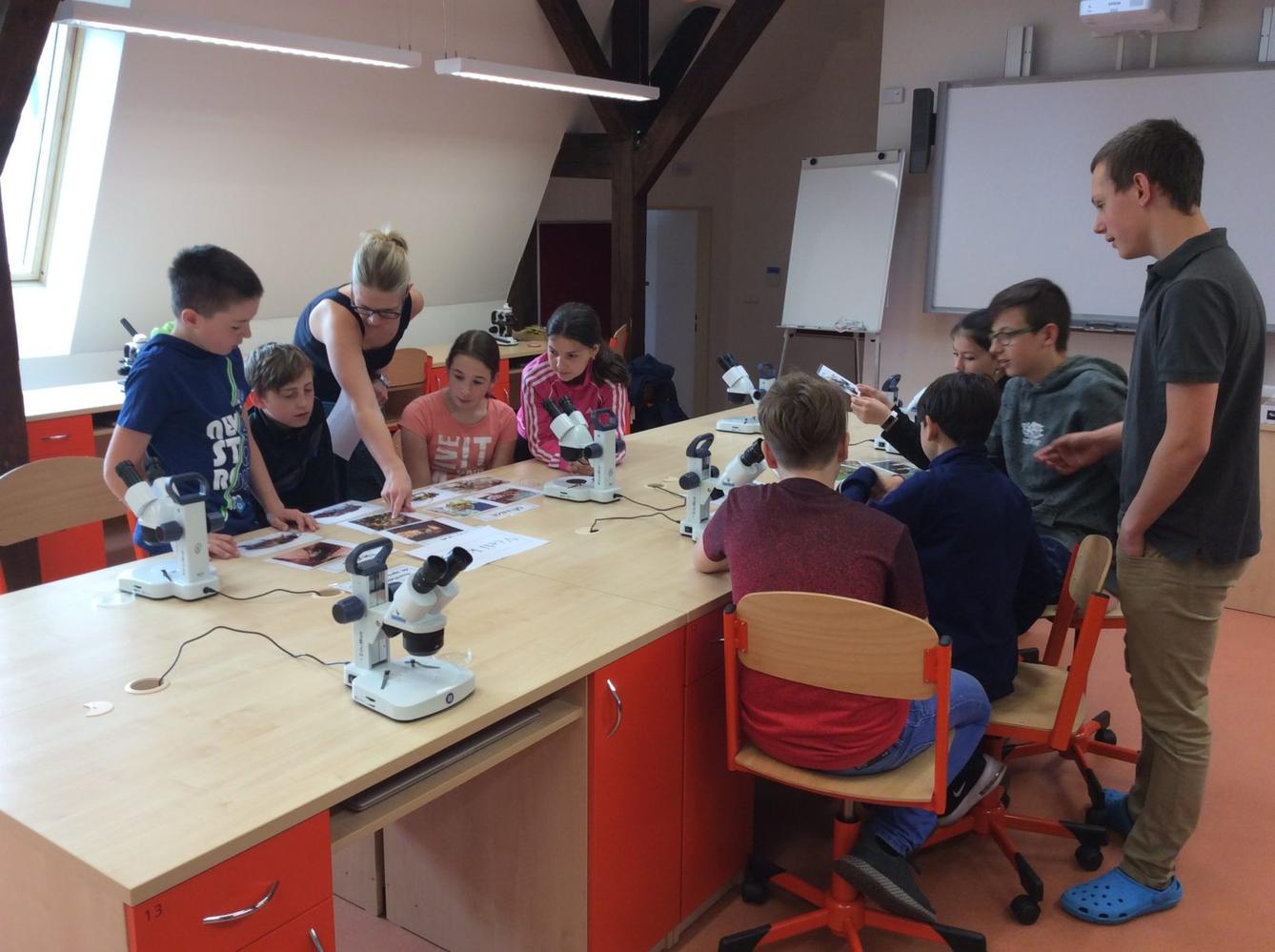 Svět včel - žáci 6. třídy - 3