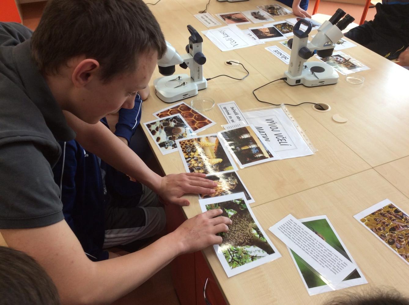Svět včel - žáci 6. třídy - 4
