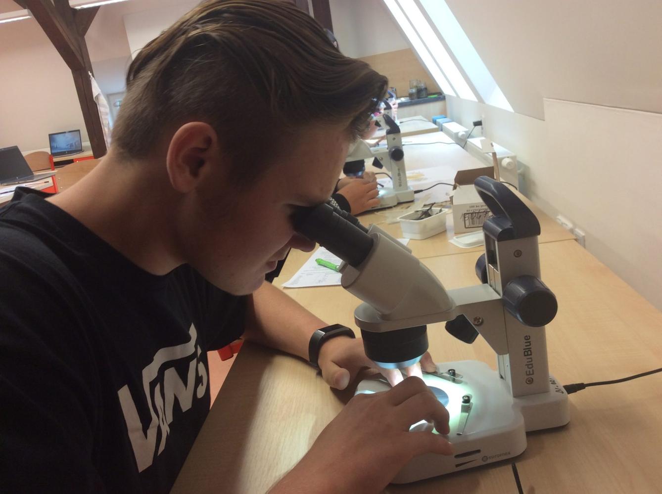 Svět krystalů - 9. třída - 13