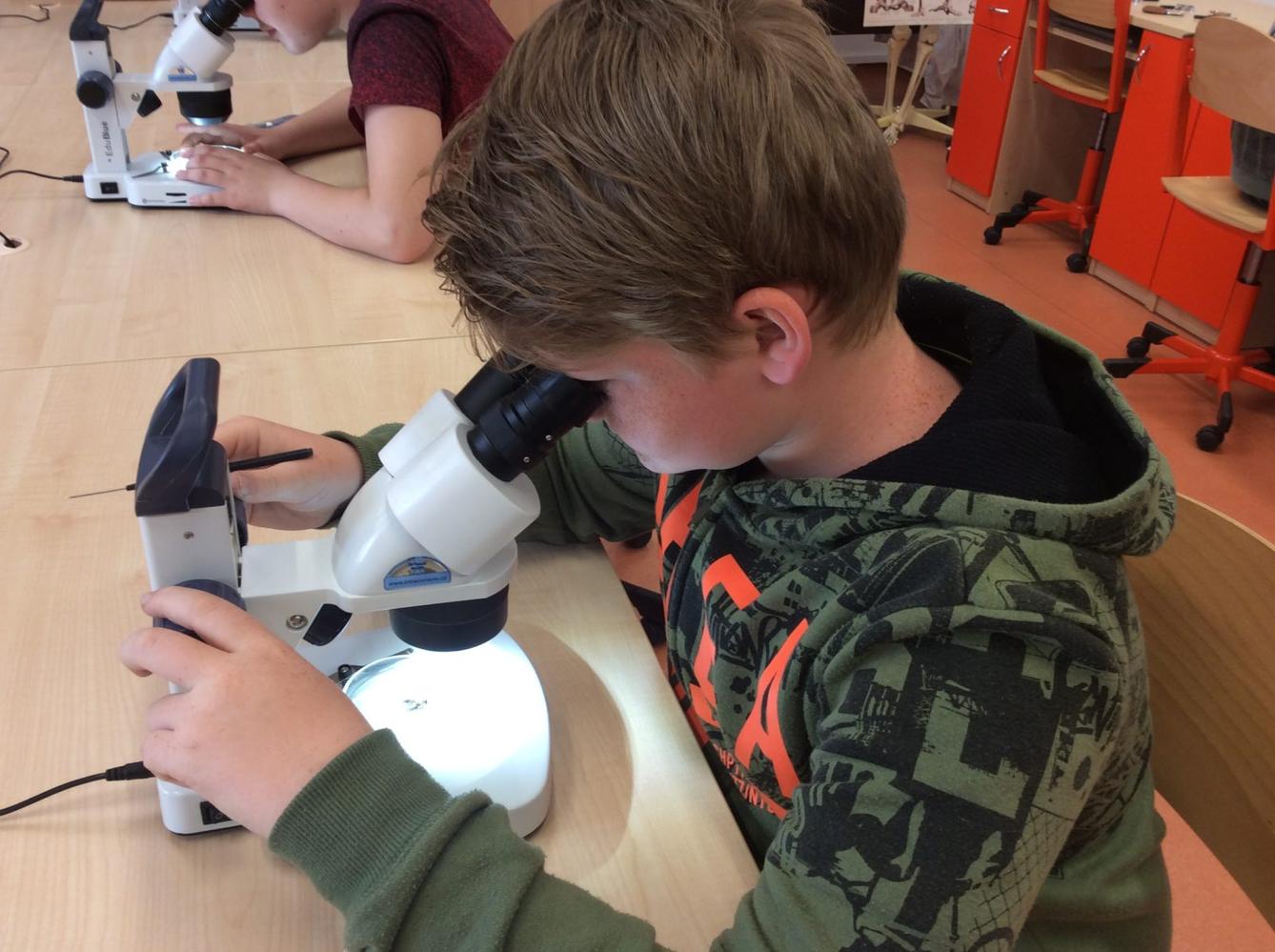 Svět včel - žáci 6. třídy - 7