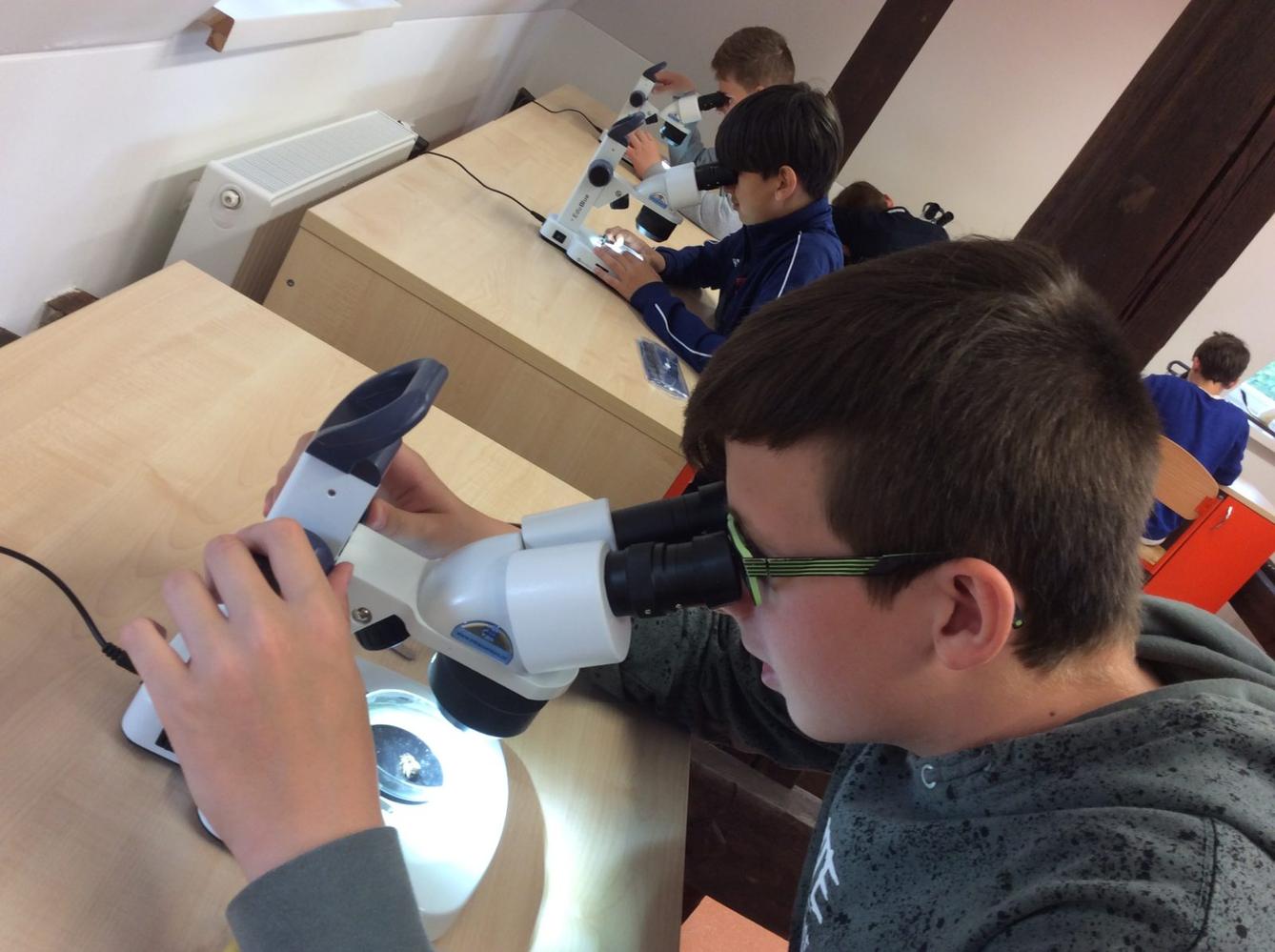 Svět včel - žáci 6. třídy - 8