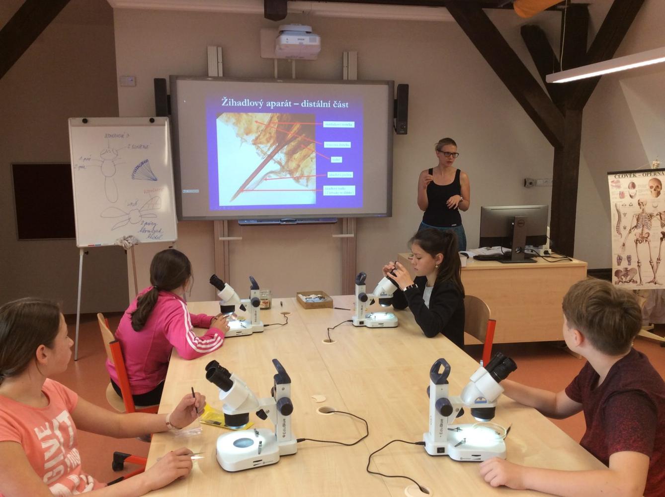 Svět včel - žáci 6. třídy - 9