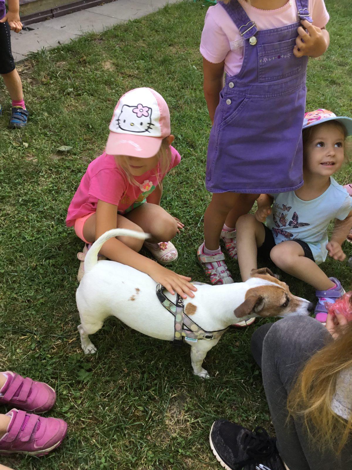 Vzpomínka na prázdniny - cvičení s pejskem - 1