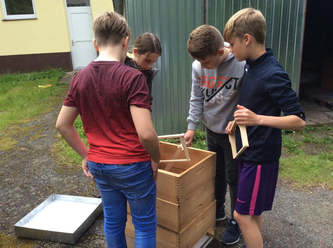 Svět včel - žáci 6. třídy - 11