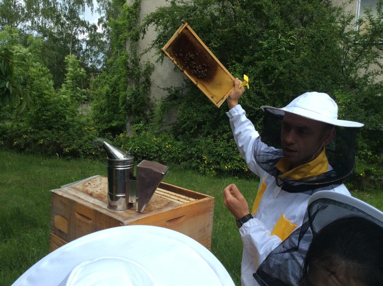 Svět včel - žáci 6. třídy - 13