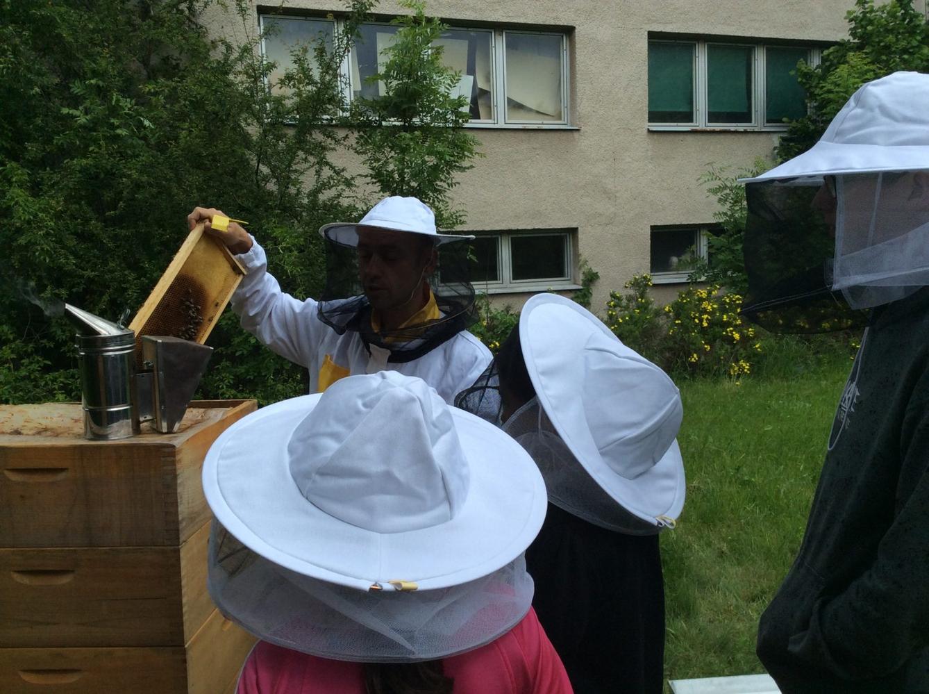 Svět včel - žáci 6. třídy - 14