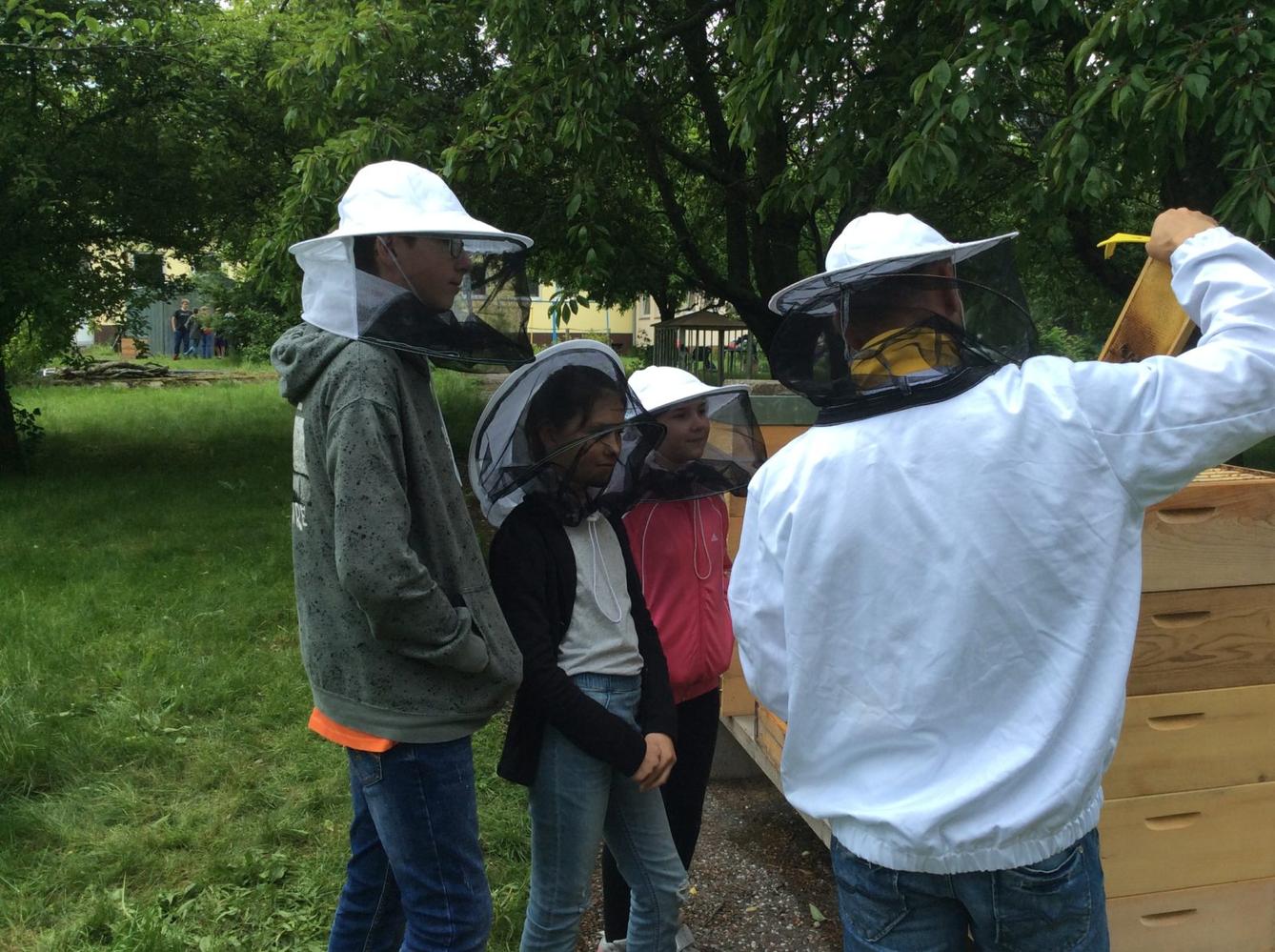 Svět včel - žáci 6. třídy - 15