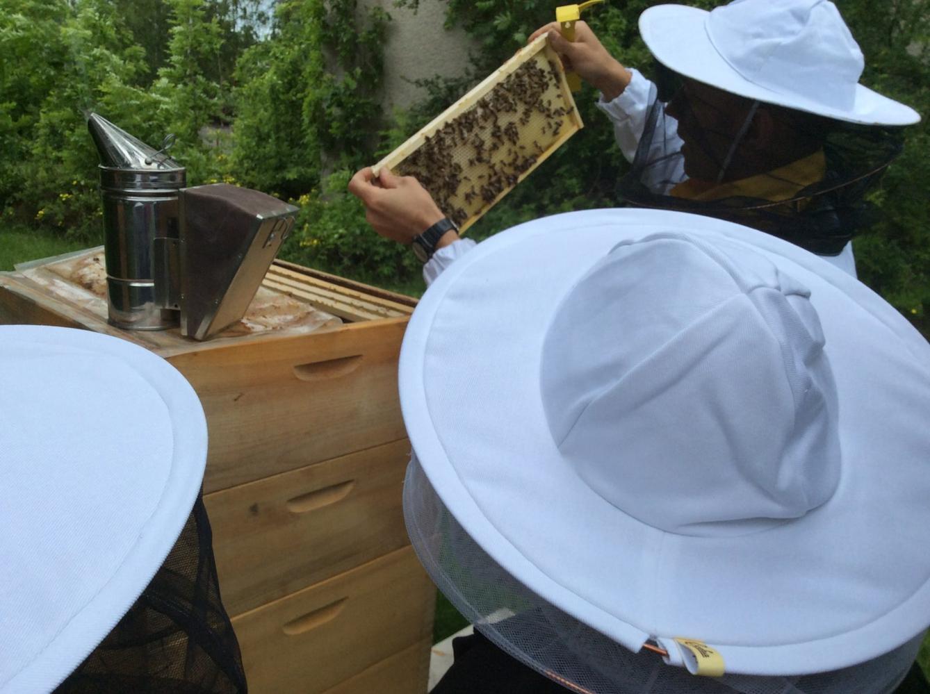 Svět včel - žáci 6. třídy - 16