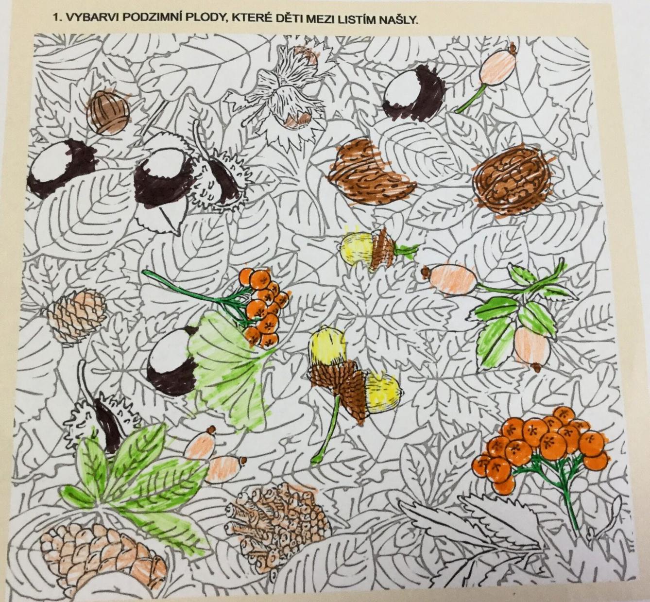 16. 11. distanční výuka v 1. třídě - 1