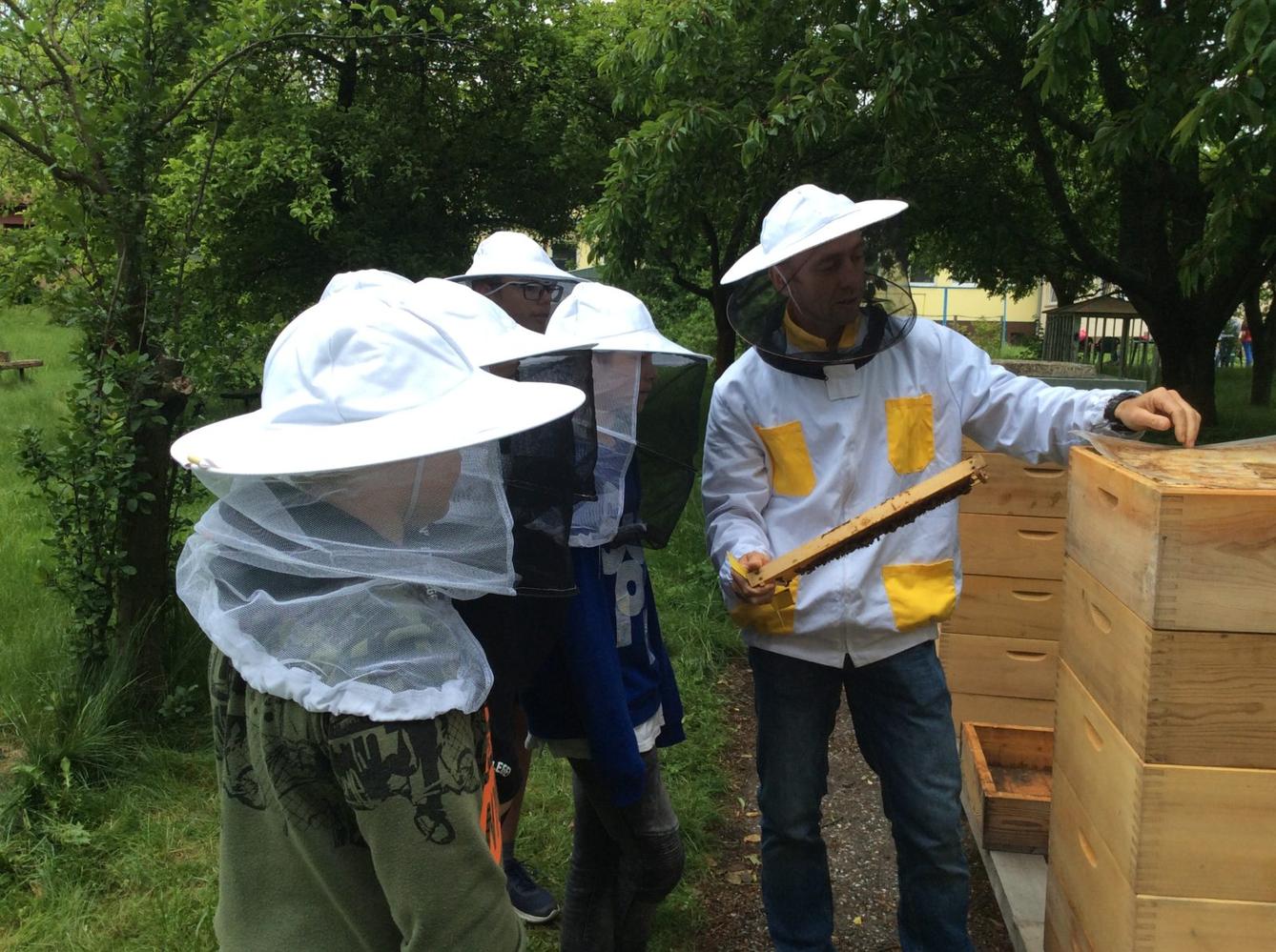 Svět včel - žáci 6. třídy - 18