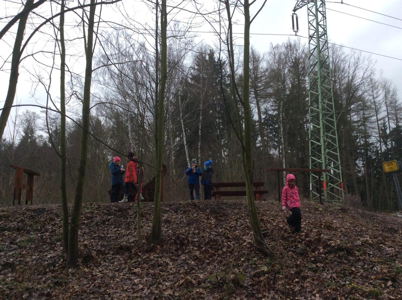 Vycházka k lesu - 1