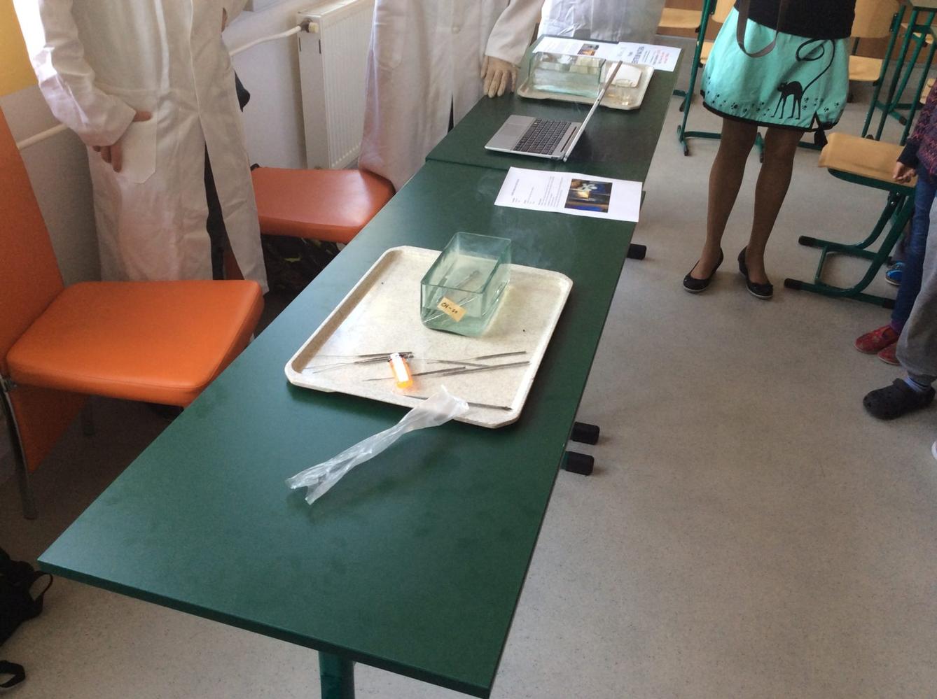 Odpoledne s pokusy Přírodovědného kroužku - 22