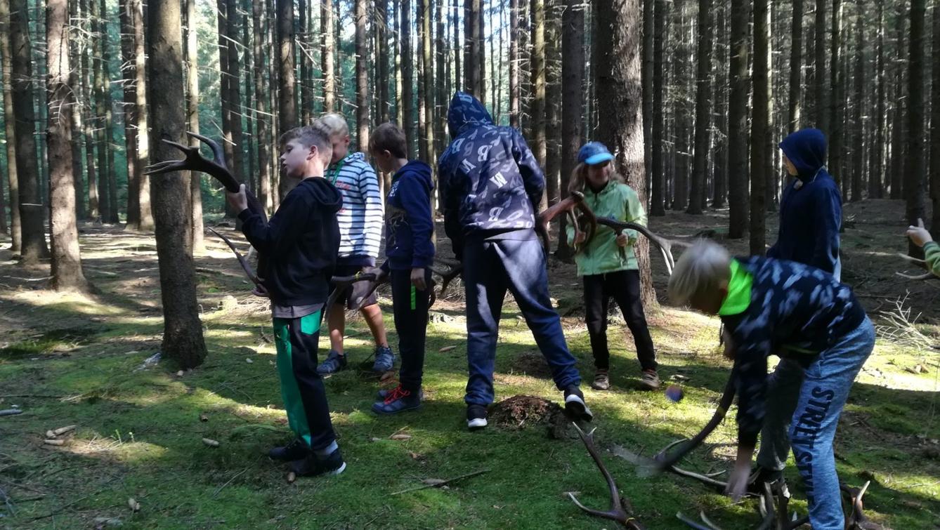 Do lesa s lesníkem - 1