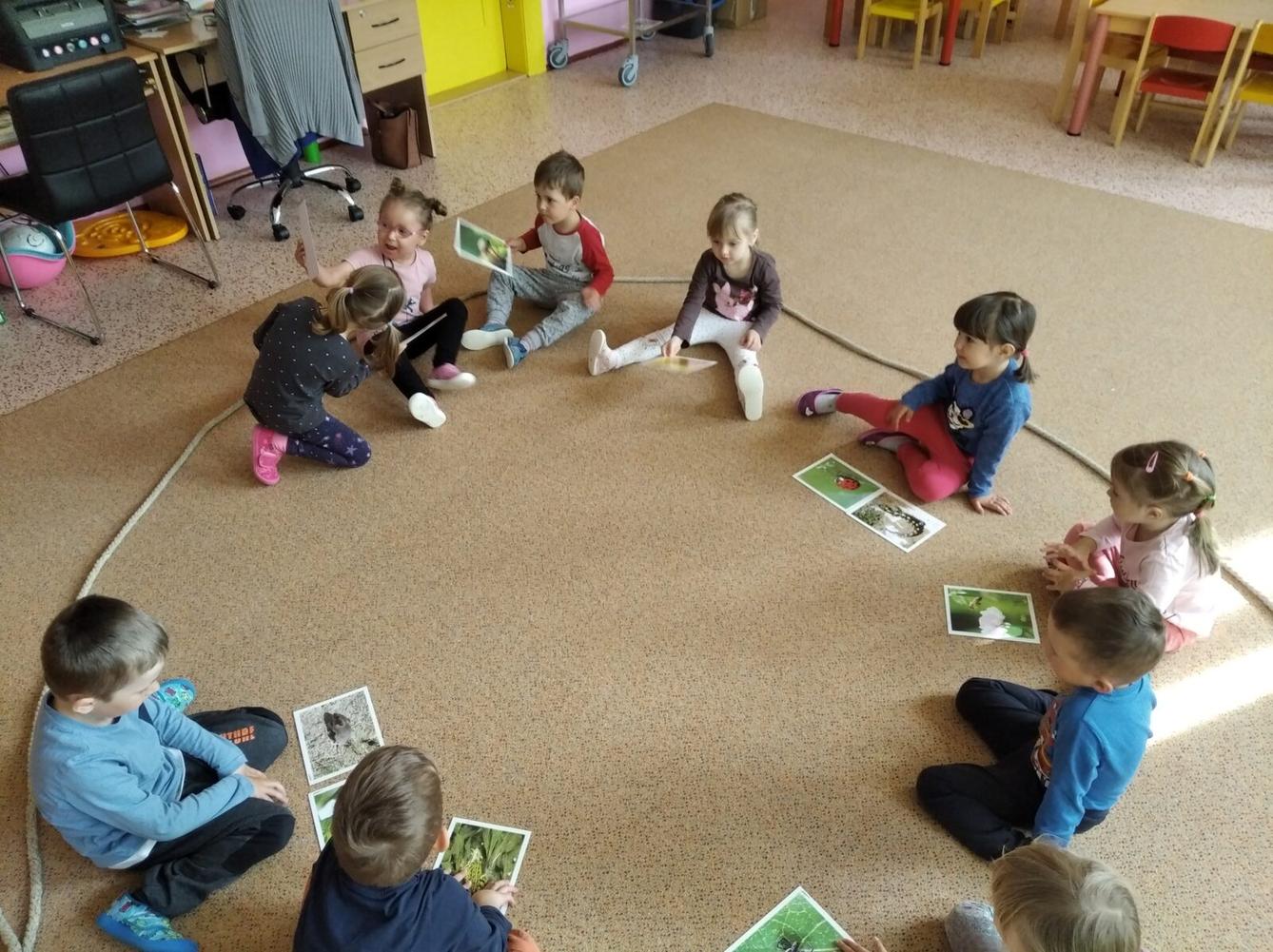 broučci-jarní louka - 1