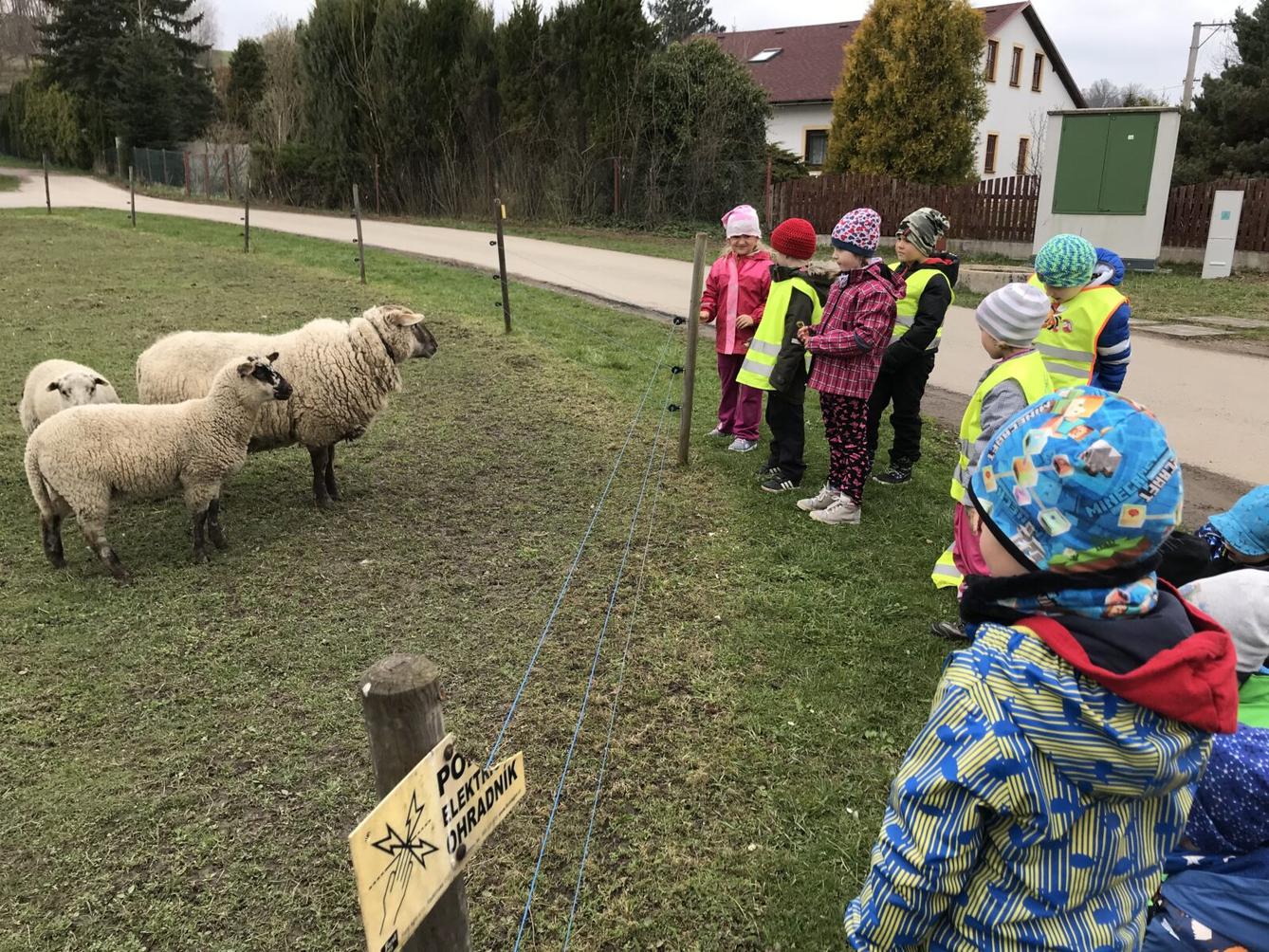 PŘEDŠKOLÁCI ,,VÝPRAVY ZA ZVÍŘÁTKY" - 1