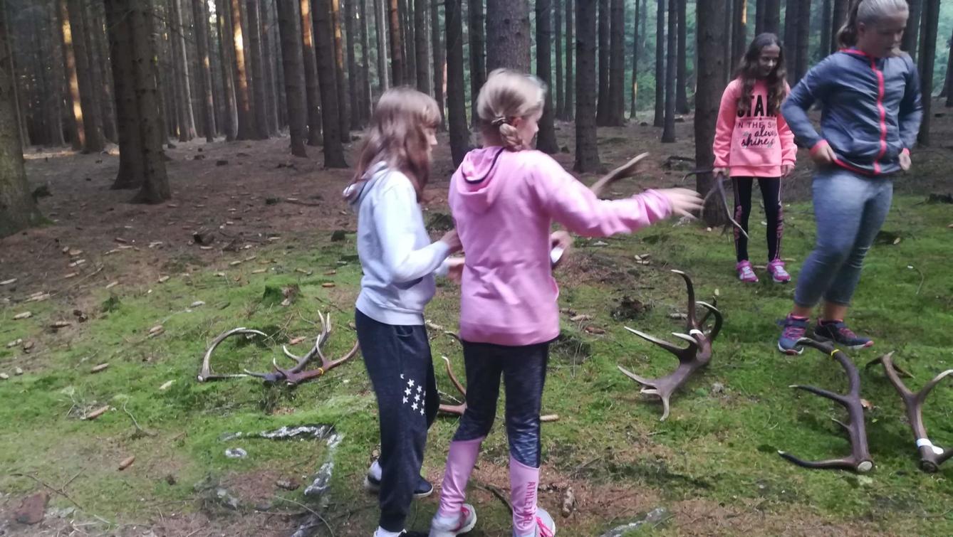 Do lesa s lesníkem - 5