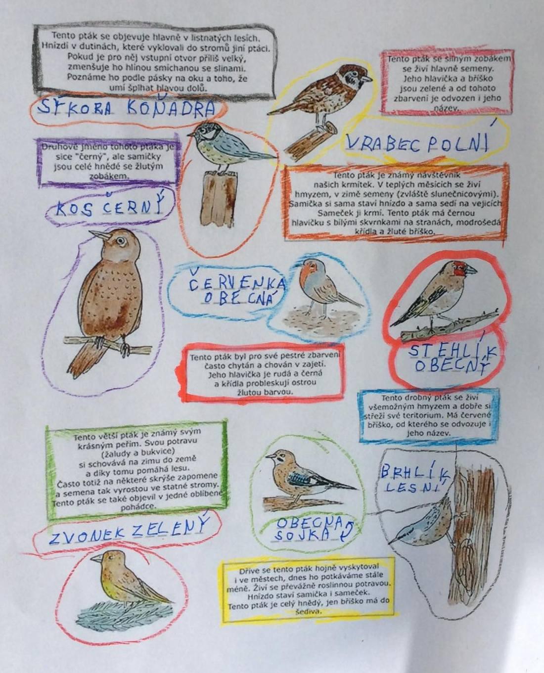 Činnosti u třeťáčků 6. 6. - 6