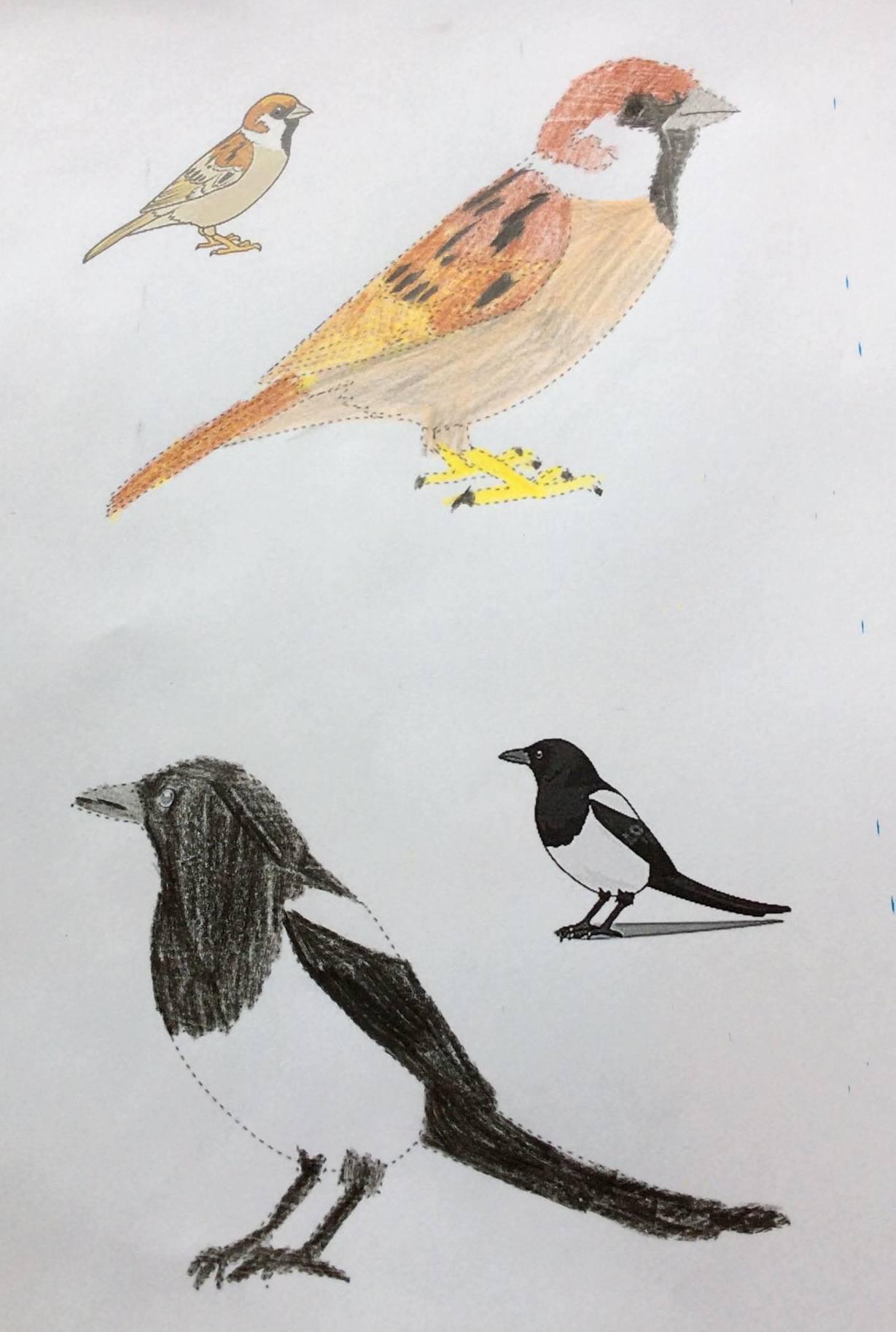 Činnosti u třeťáčků 6. 6. - 9