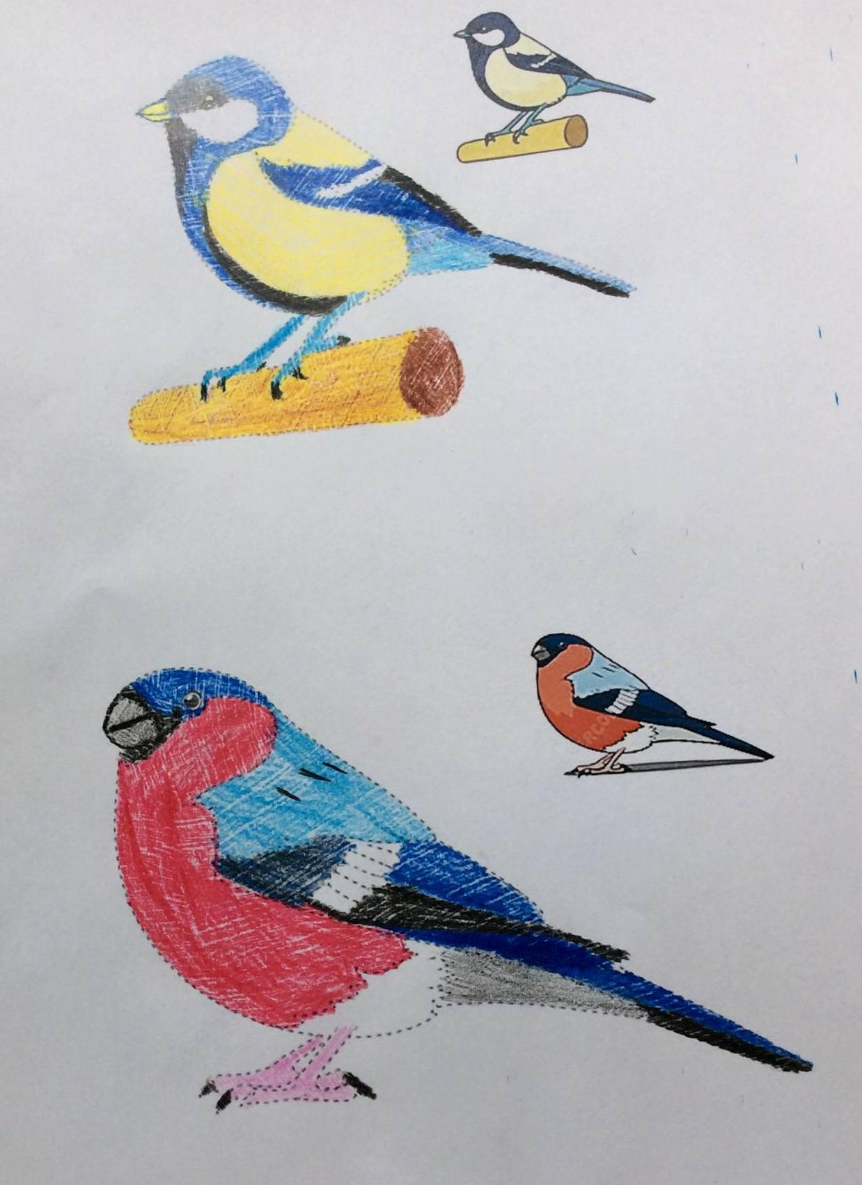 Činnosti u třeťáčků 6. 6. - 11