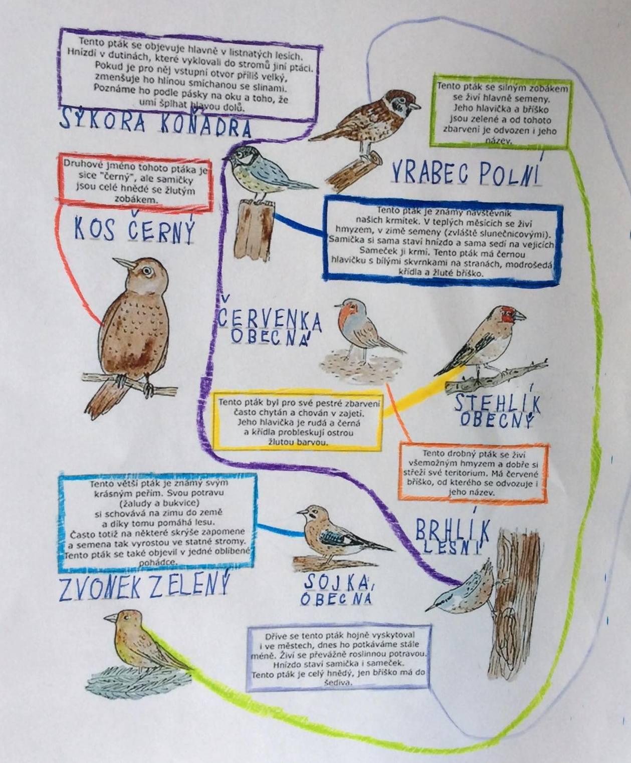 Činnosti u třeťáčků 6. 6. - 15