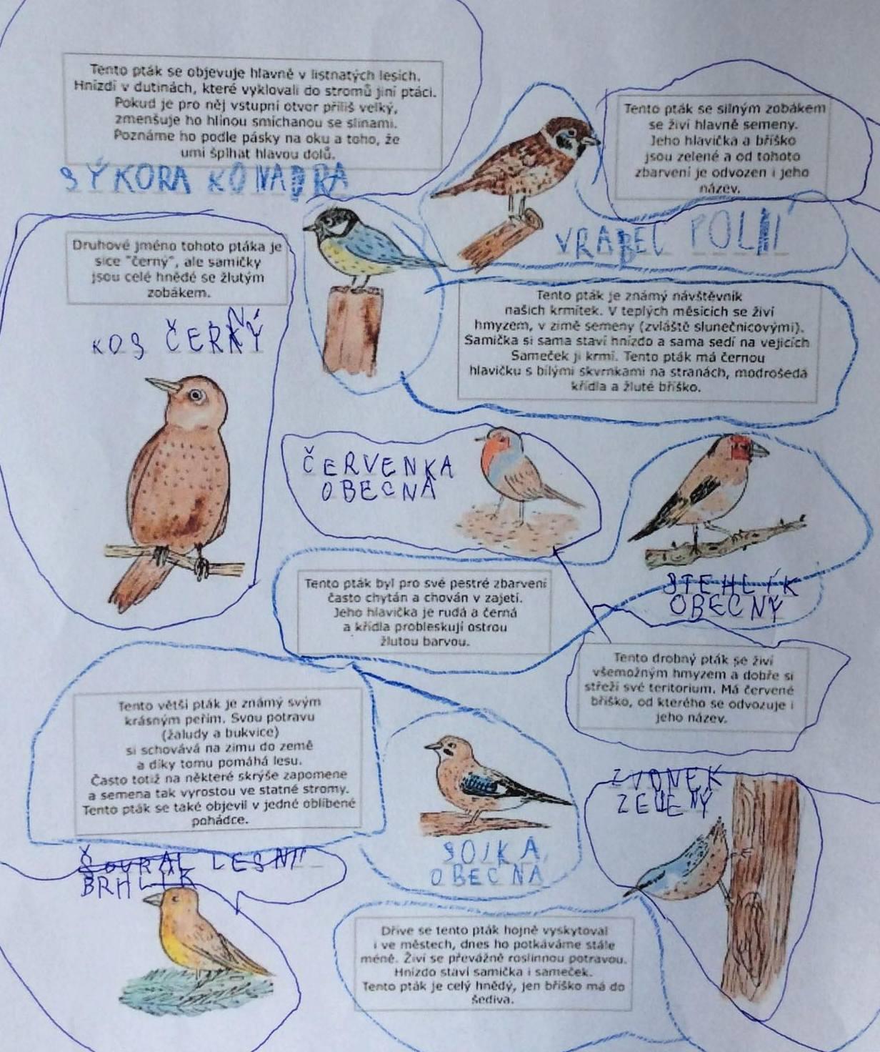 Činnosti u třeťáčků 6. 6. - 18