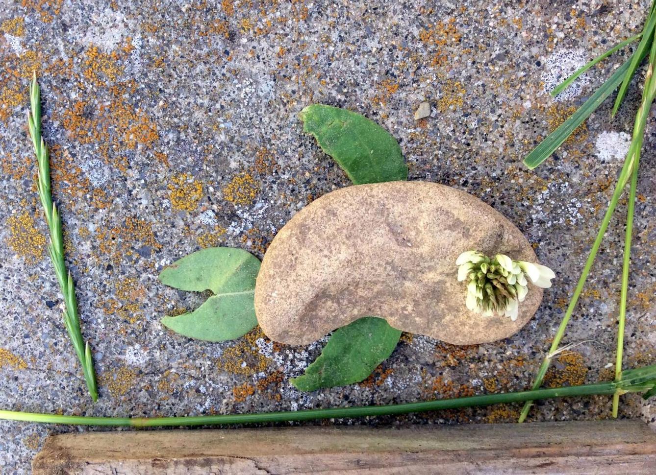 Království ryb u třeťáčků 13. 6. - 3