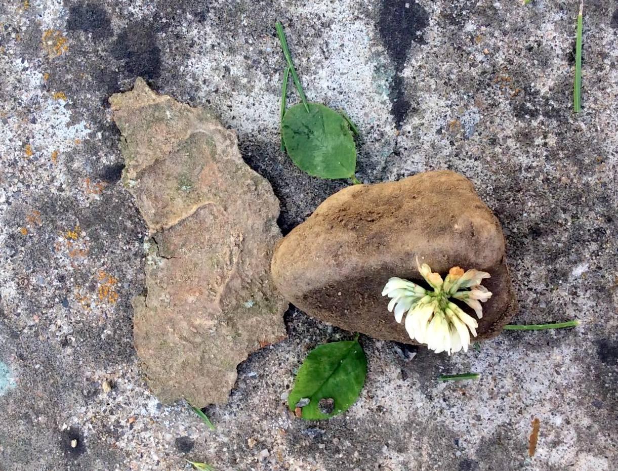 Království ryb u třeťáčků 13. 6. - 5