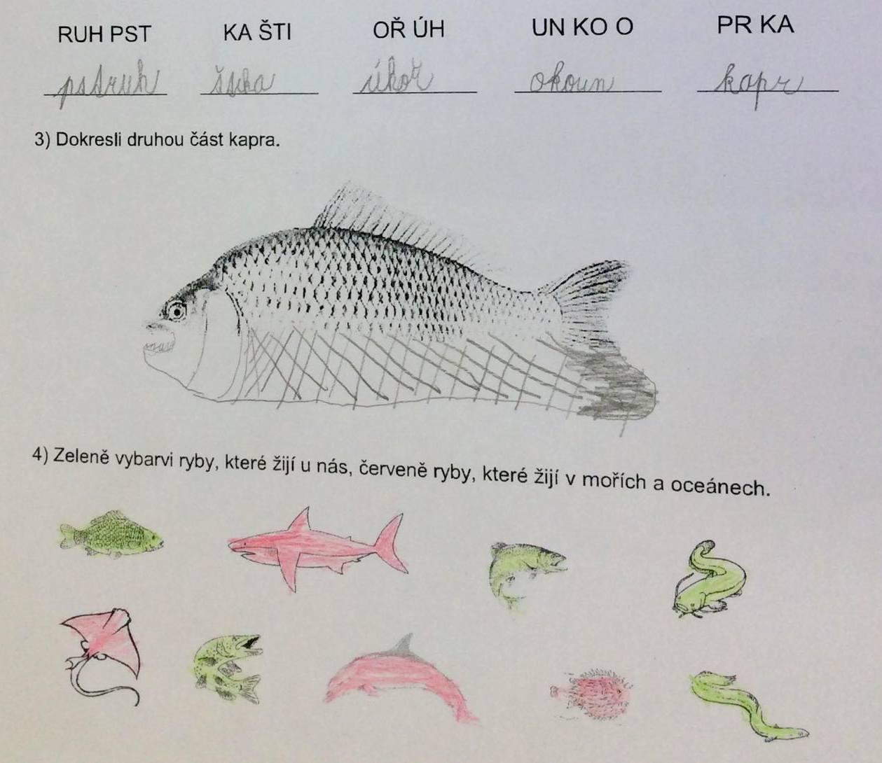 Království ryb u třeťáčků 13. 6. - 13