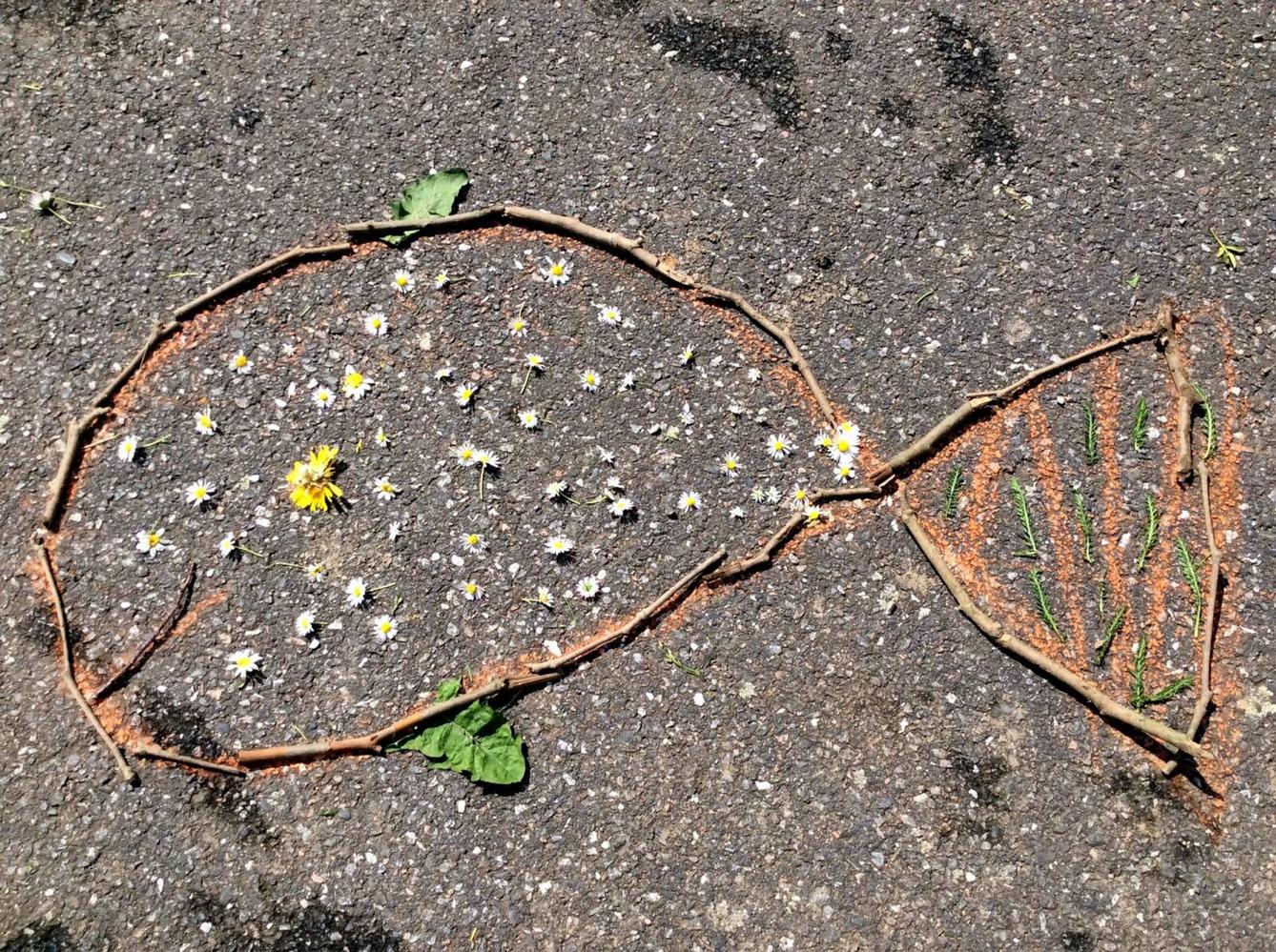 Království ryb u třeťáčků 13. 6. - 17