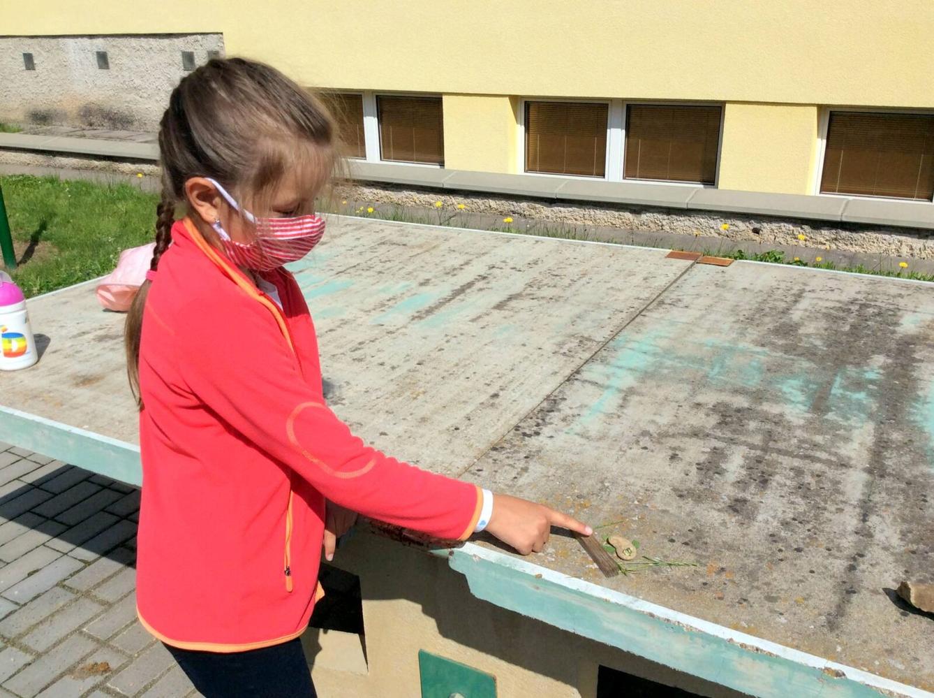 Království ryb u třeťáčků 13. 6. - 18