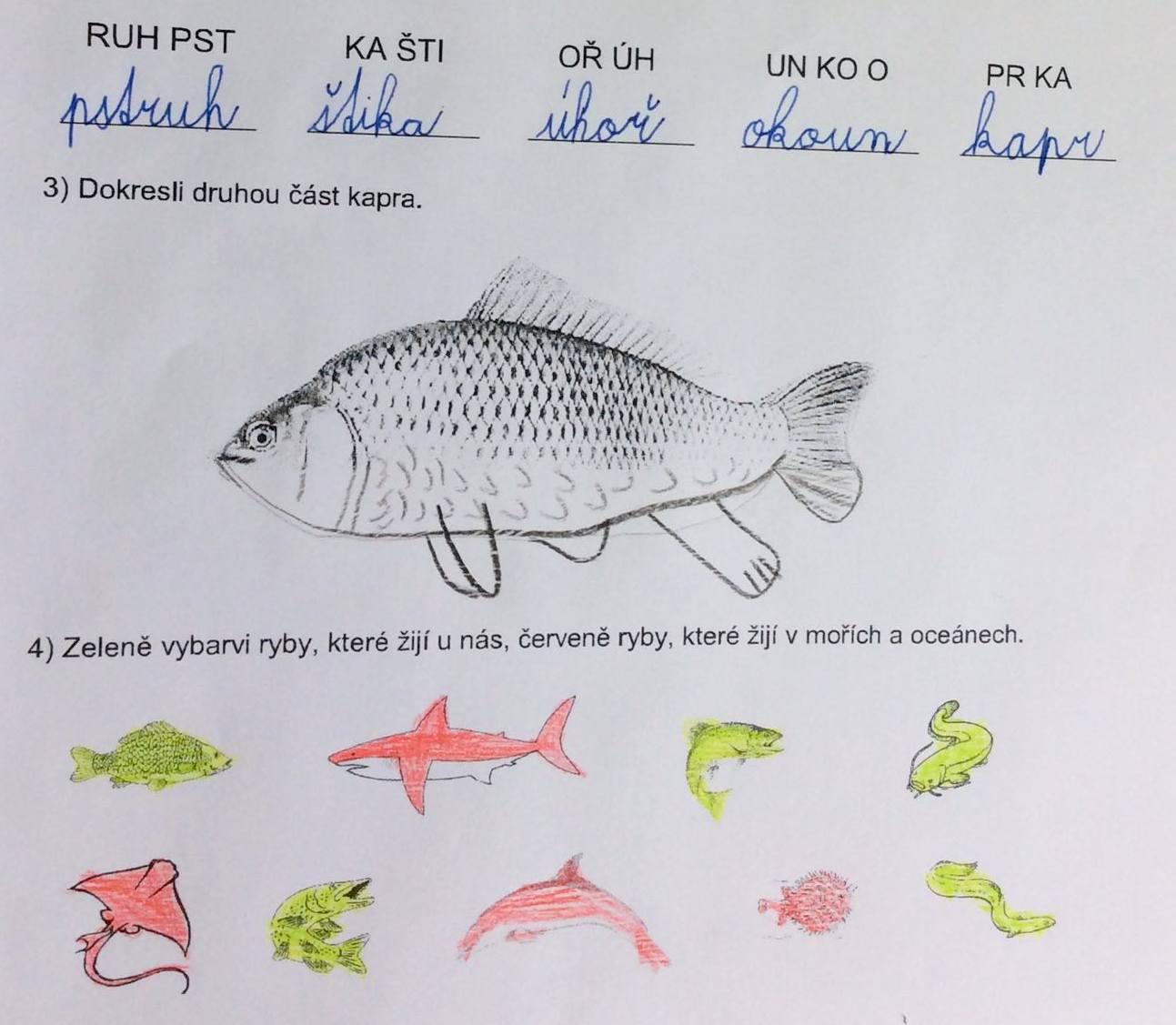 Království ryb u třeťáčků 13. 6. - 20
