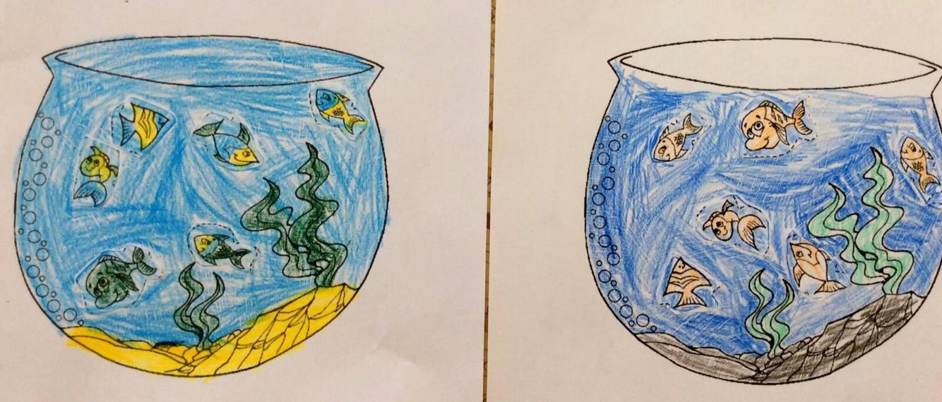 Království ryb u třeťáčků 13. 6. - 24