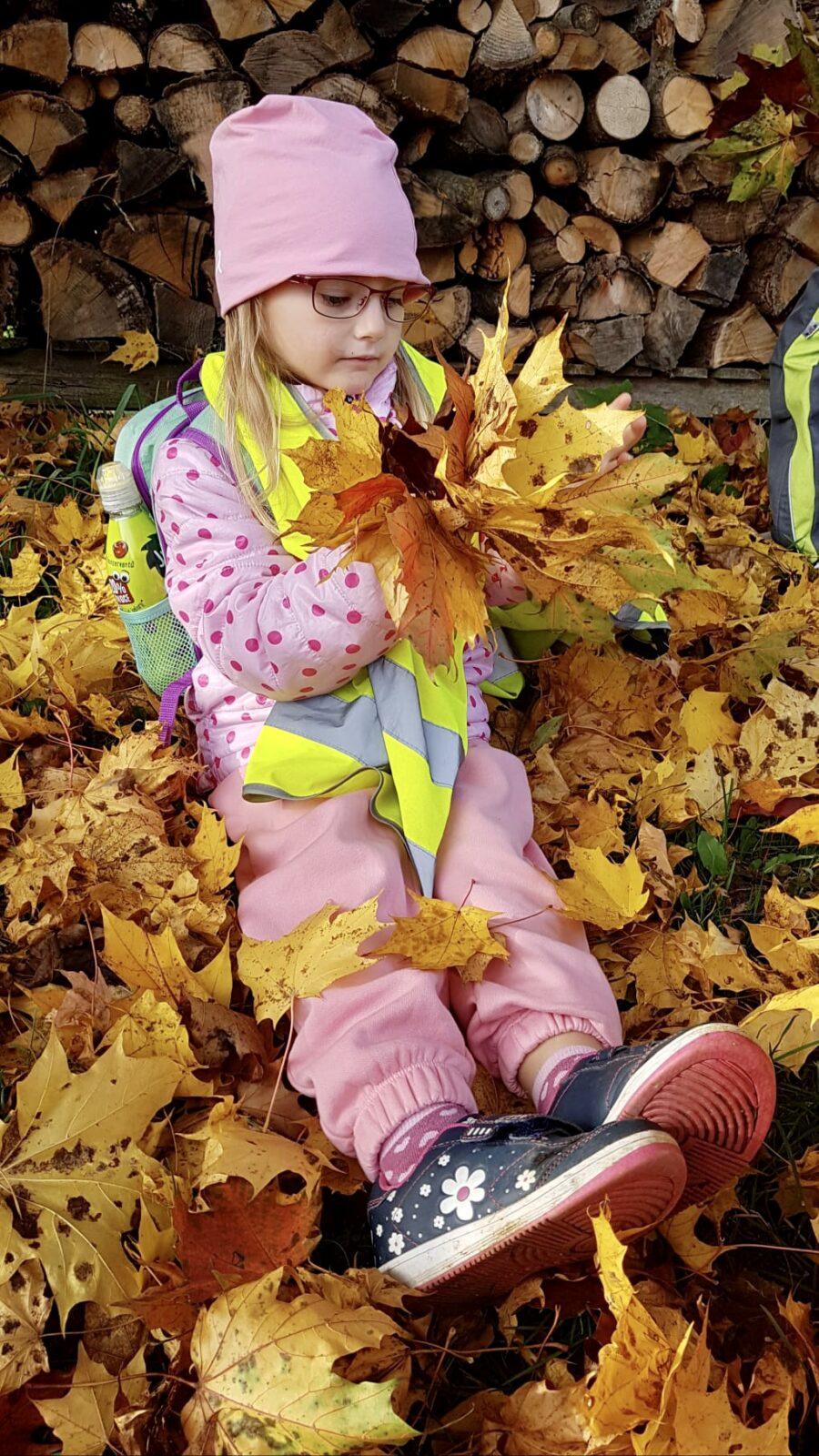 SOVIČKY: ,,LISTÍ ŽLOUTNE POLETUJE" - 3