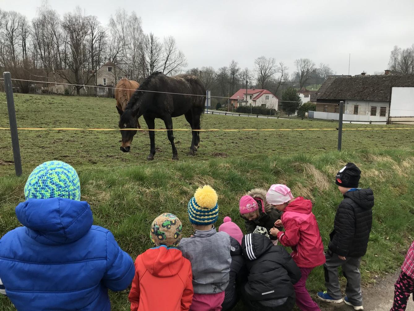 PŘEDŠKOLÁCI ,,VÝPRAVY ZA ZVÍŘÁTKY" - 3