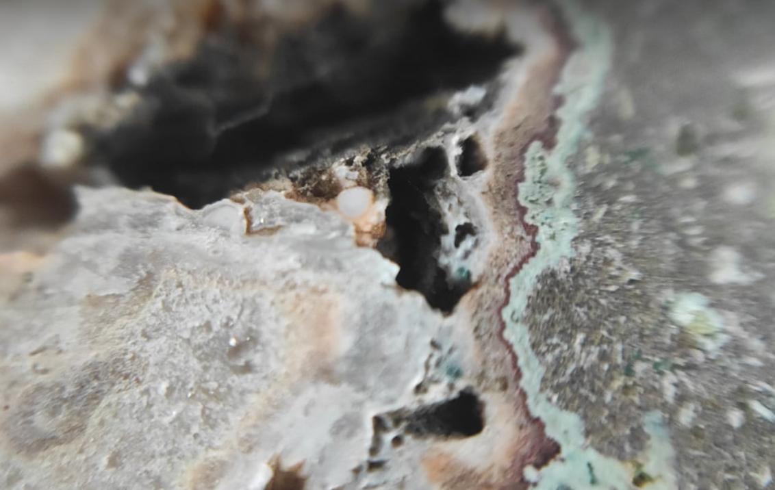 Domácí mikroskop - badatelský kroužek - 3