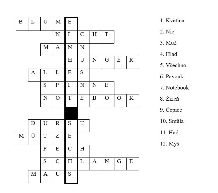 Procvičování slovíček v distanční výuce v 8. a 9. třídě - 3