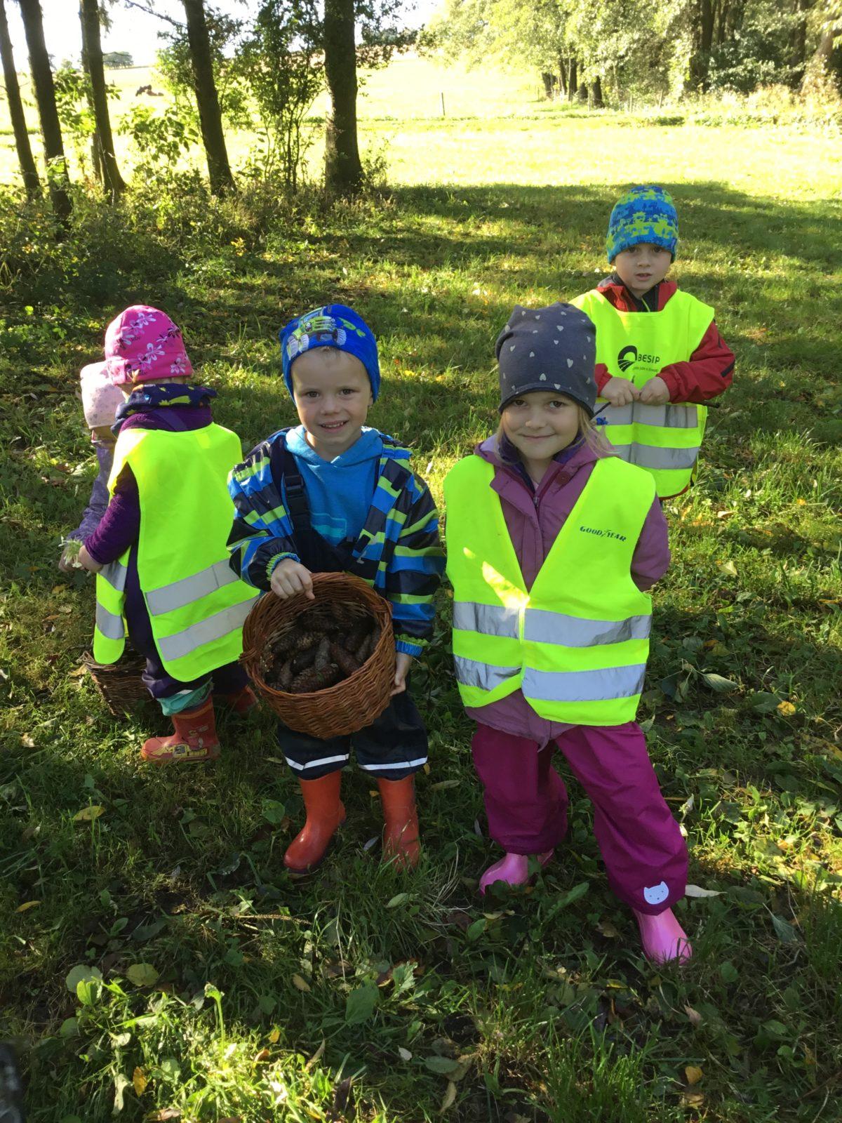 "Kam chodí broučci spát" - 4