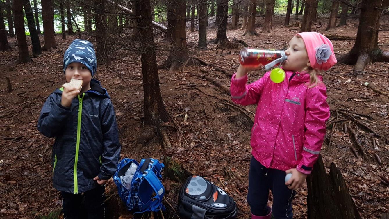 SOVIČKY: ,,VÝPRAVA DO LESA" - 4