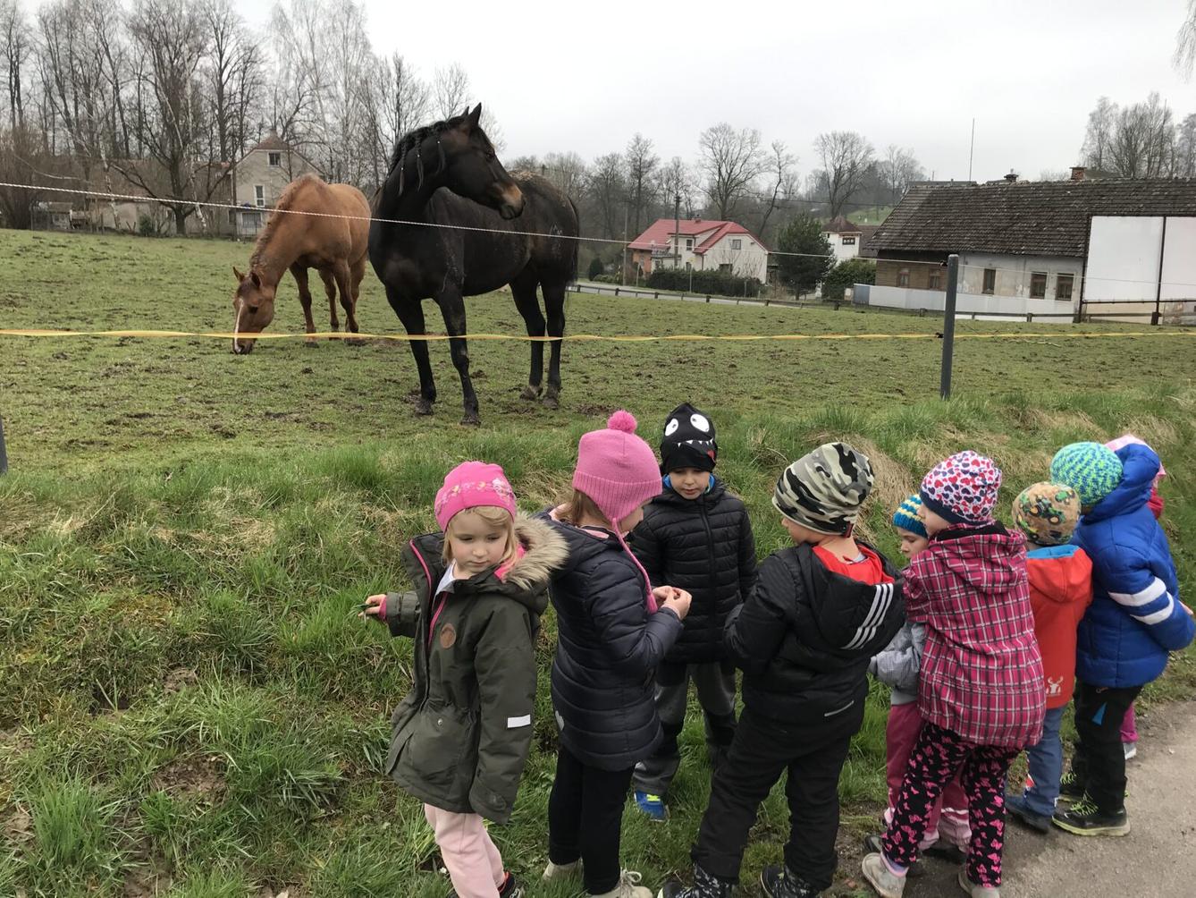 PŘEDŠKOLÁCI ,,VÝPRAVY ZA ZVÍŘÁTKY" - 4