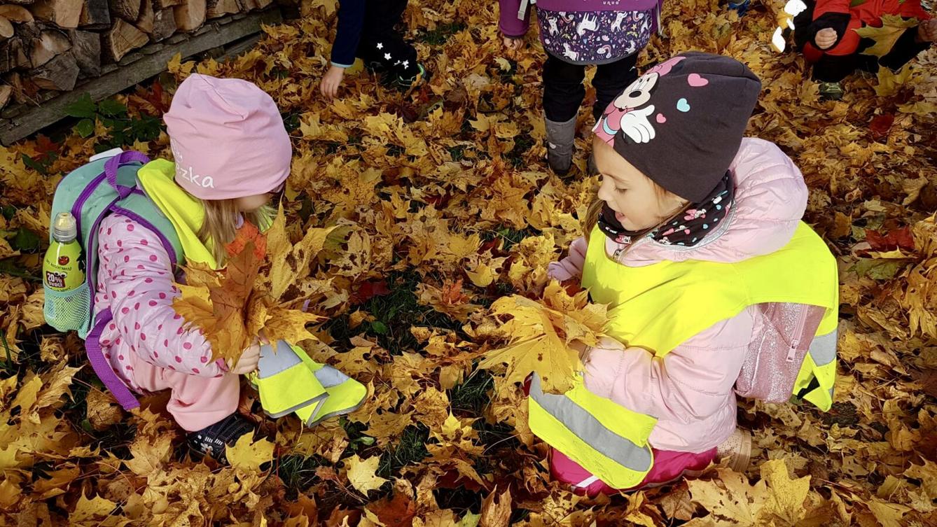 SOVIČKY: ,,LISTÍ ŽLOUTNE POLETUJE" - 5