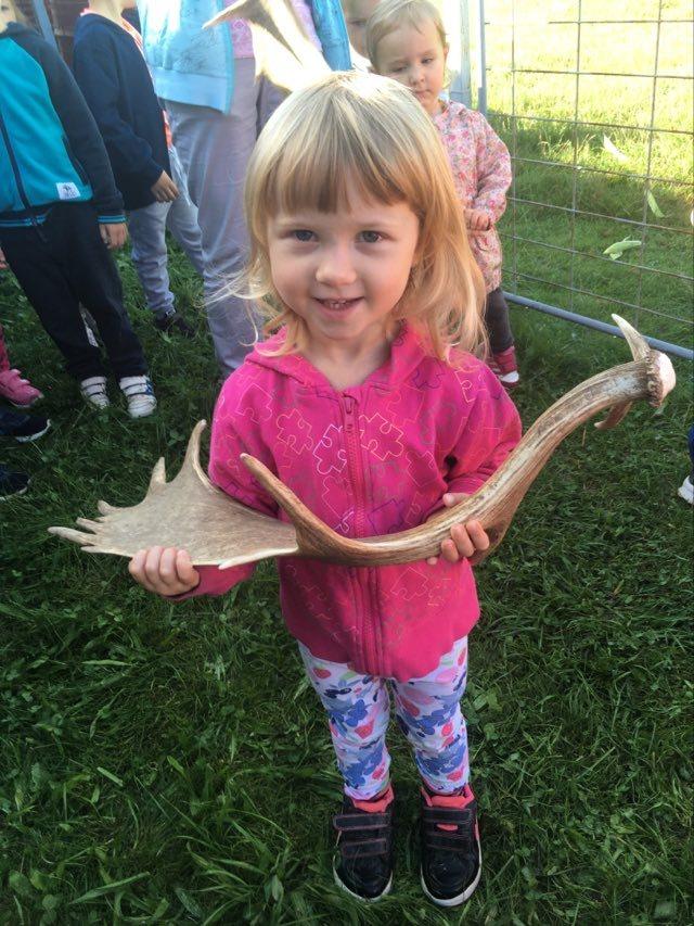 Daňci p. Kubasy - 5