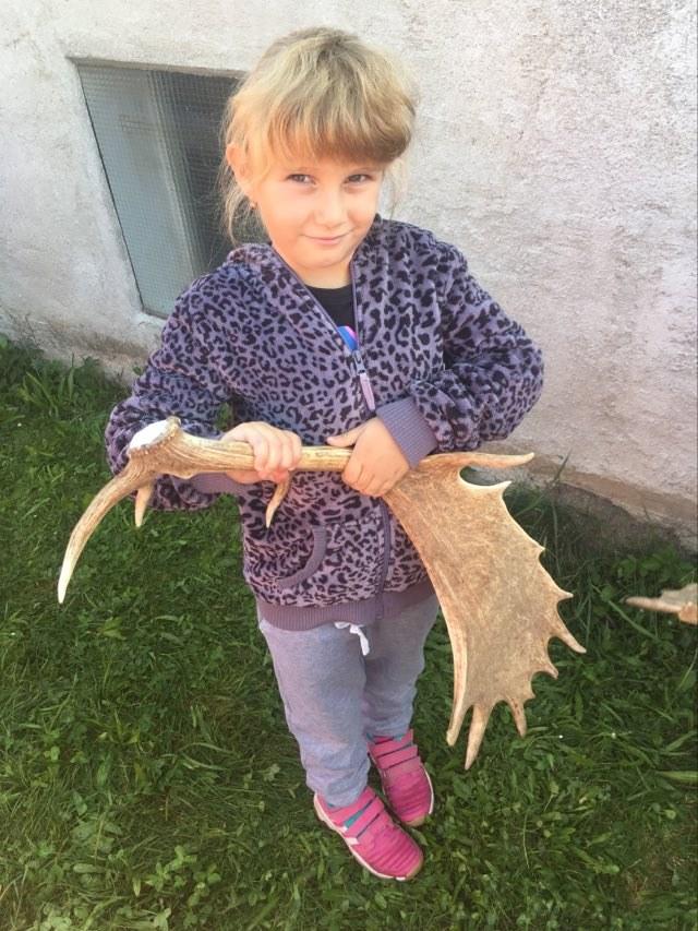 Daňci p. Kubasy - 7