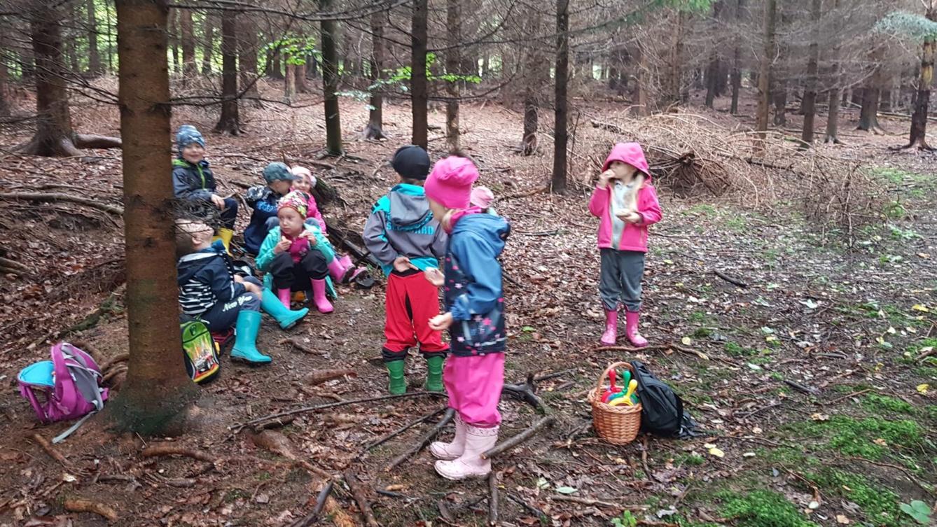 SOVIČKY: ,,VÝPRAVA DO LESA" - 5