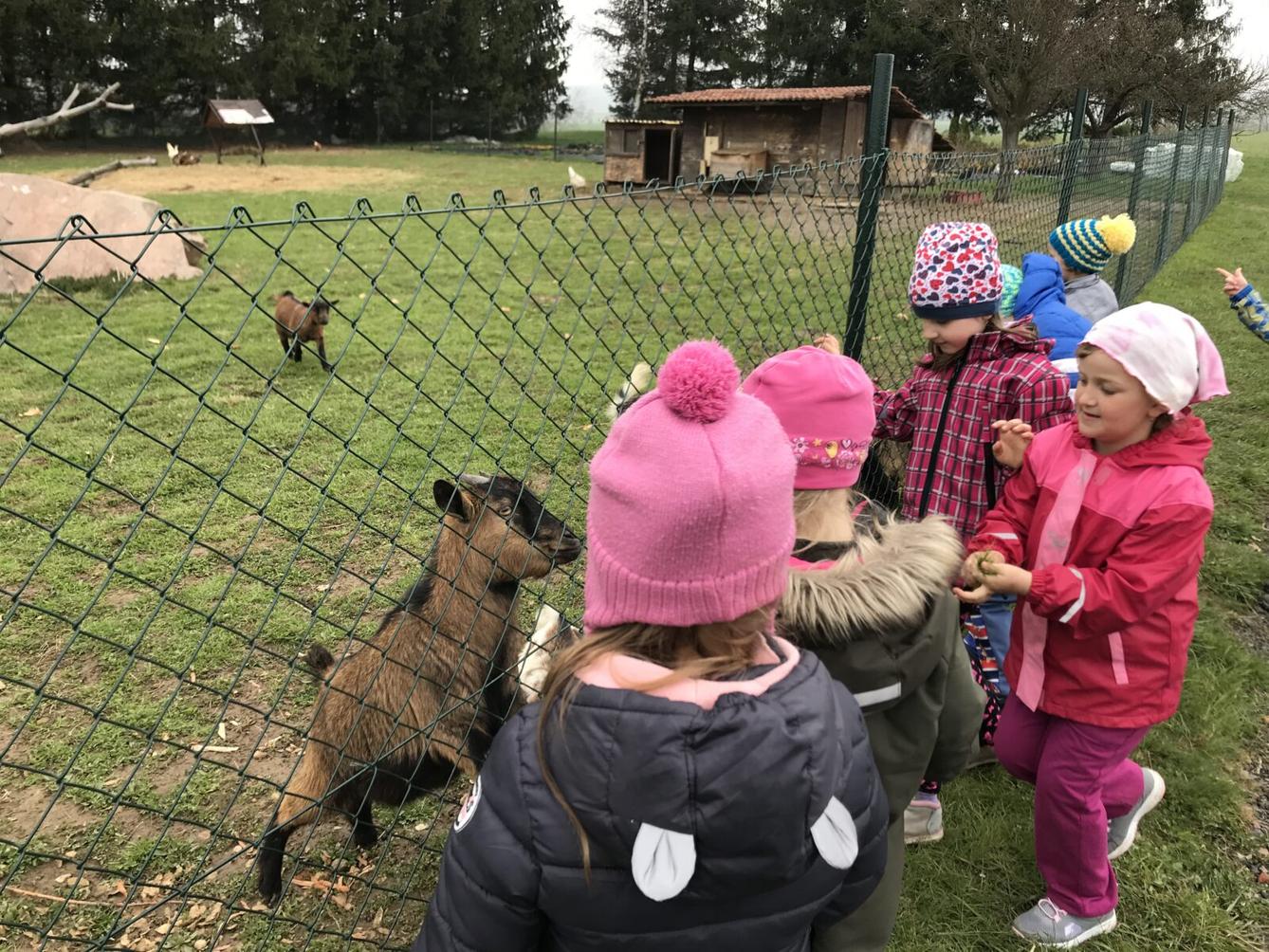 PŘEDŠKOLÁCI ,,VÝPRAVY ZA ZVÍŘÁTKY" - 5
