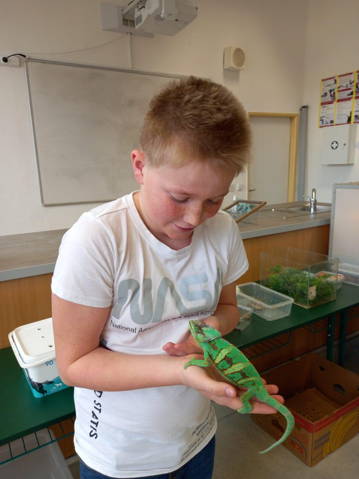 Přednáška o chovu terarijních zvířat - 5