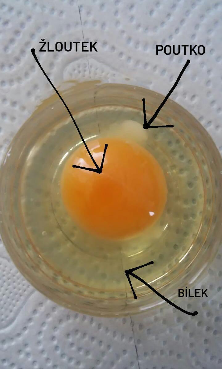 Laboratorní práce u sedmáků - 1